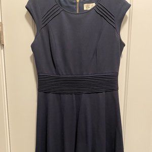 Eliza J Navy Dress Size 8